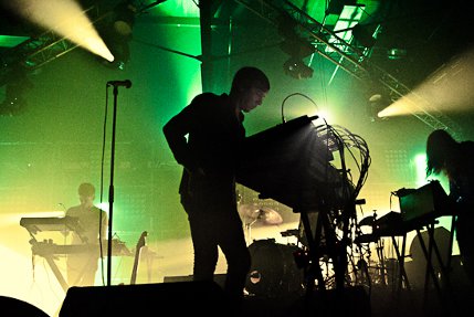 the wombats